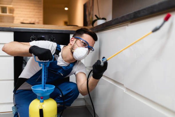 Best Pest Prevention Services  in Dayton, OR