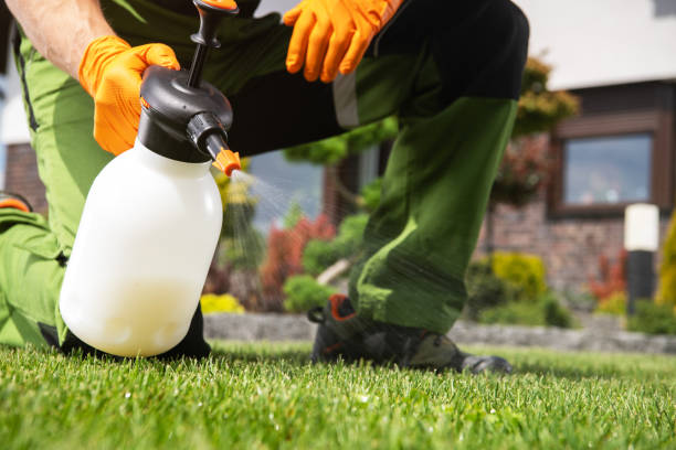 Trusted Dayton, OR Pest Control Experts