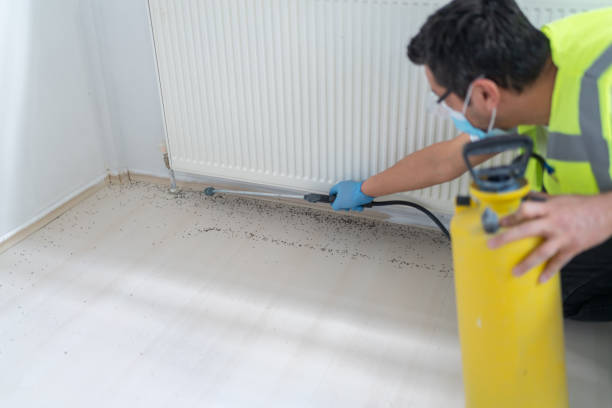 Pest Prevention Services in Dayton, OR